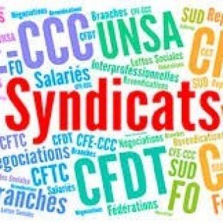 Représentation syndicale au sein d'une UES (Unité Economique et Sociale)