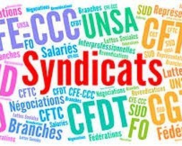 Représentation syndicale au sein d'une UES (Unité Economique et Sociale)