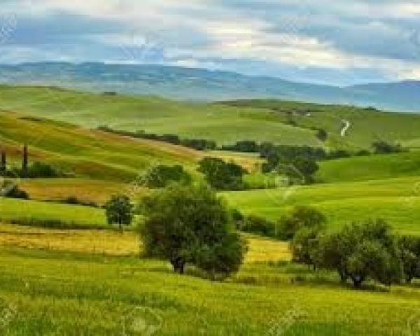 Régime de la preuve du paiement du bail rural