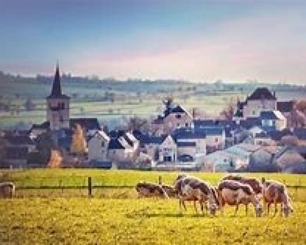 Transmission de deux QPC en matière de Droit rural