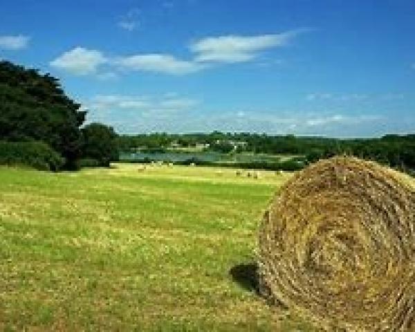 Nullité du congé fondé sur l'âge du preneur et justifiction par le bailleur de l'emploi des biens qui sont objet du bail